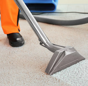 Non-Toxic Cleaners
